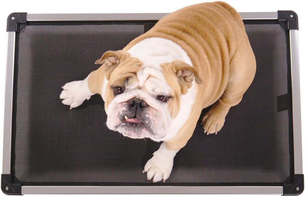 Chew Proof Mesh Elevated Dog Bed - Made for Aggressive Chewers, Indestructible Cot, Heavy Duty, 120-Day Warranty, Washable, Pre-Assembled, Fits Crates Large 41"X27" Black Mesh