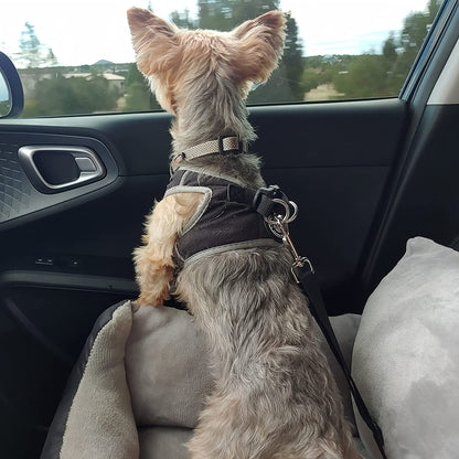 Dog Car Seats with Dog Seat Belt, Washable Dog Booster Pet Car Seat for Small Dogs, Anti-Slip Dog Travel Car Dog Bed for Car Front or Back Seat, Adjustable Safety Buckle, Storage Pockets