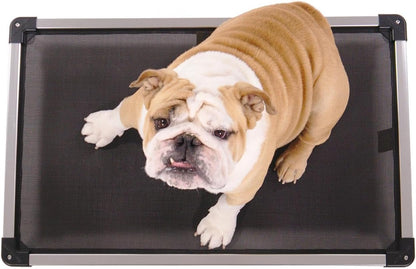 Chew Proof Mesh Elevated Dog Bed - Made for Aggressive Chewers, Indestructible Cot, Heavy Duty, 120-Day Warranty, Washable, Pre-Assembled, Fits Crates Large 41"X27" Black Mesh